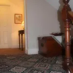 Warwick カーライル